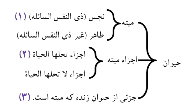 شکل_1_جلسه_70_فقه_سال_1-removebg-preview